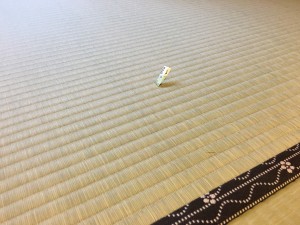 s-寺下　さらさ (5)