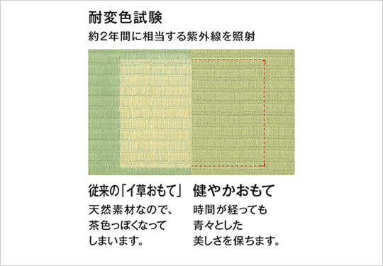 耐変色試験