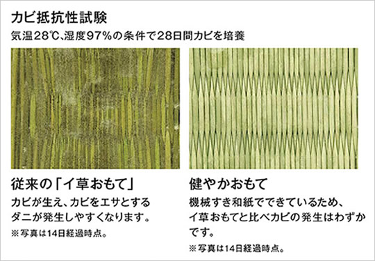 カビ抵抗性試験